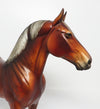 EQUILOCITY BASKET~WHALE OF A GOOD TIME BASKET-1 TICKET