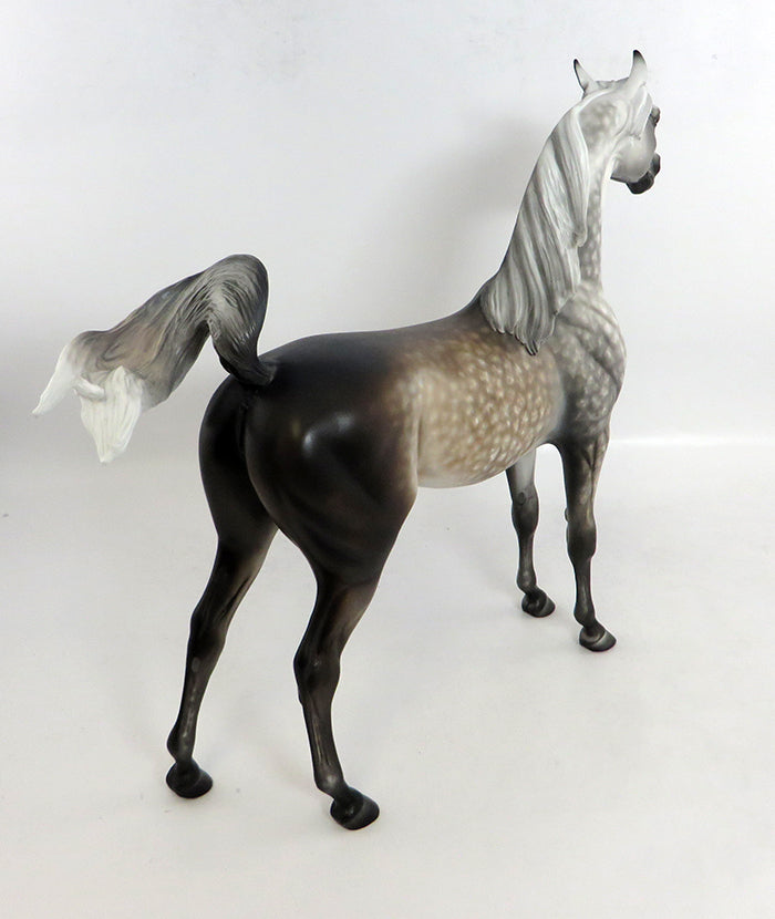 MONTANA-OOAK START DAPPLE GREY ARABIAN BY SHERYL LEISURE 2/5