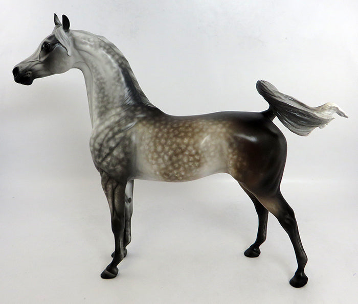 MONTANA-OOAK START DAPPLE GREY ARABIAN BY SHERYL LEISURE 2/5