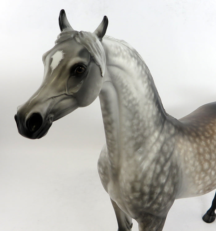 MONTANA-OOAK START DAPPLE GREY ARABIAN BY SHERYL LEISURE 2/5