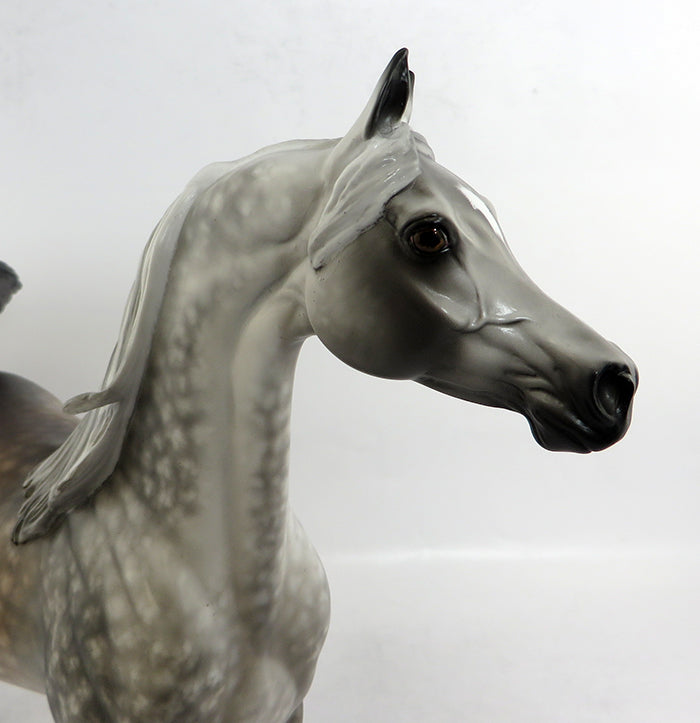 MONTANA-OOAK START DAPPLE GREY ARABIAN BY SHERYL LEISURE 2/5