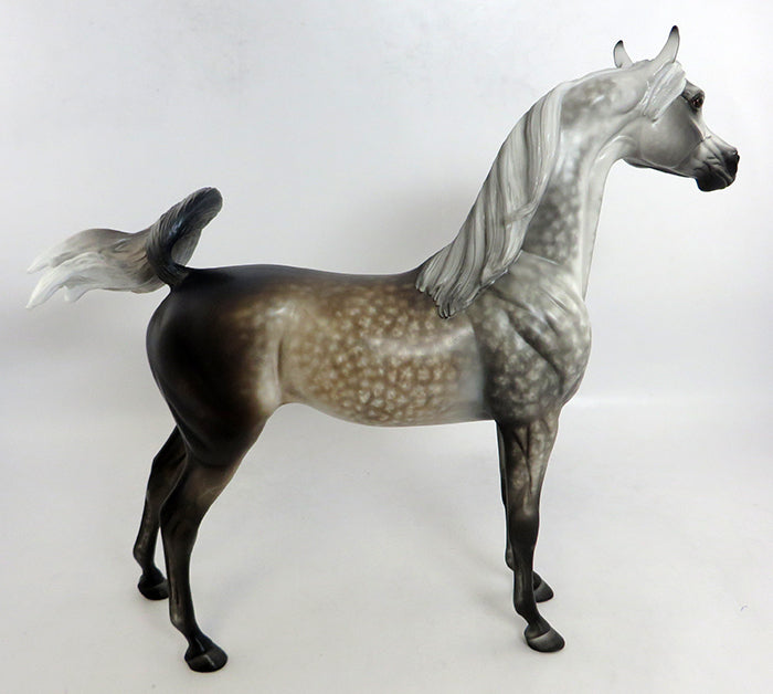 MONTANA-OOAK START DAPPLE GREY ARABIAN BY SHERYL LEISURE 2/5