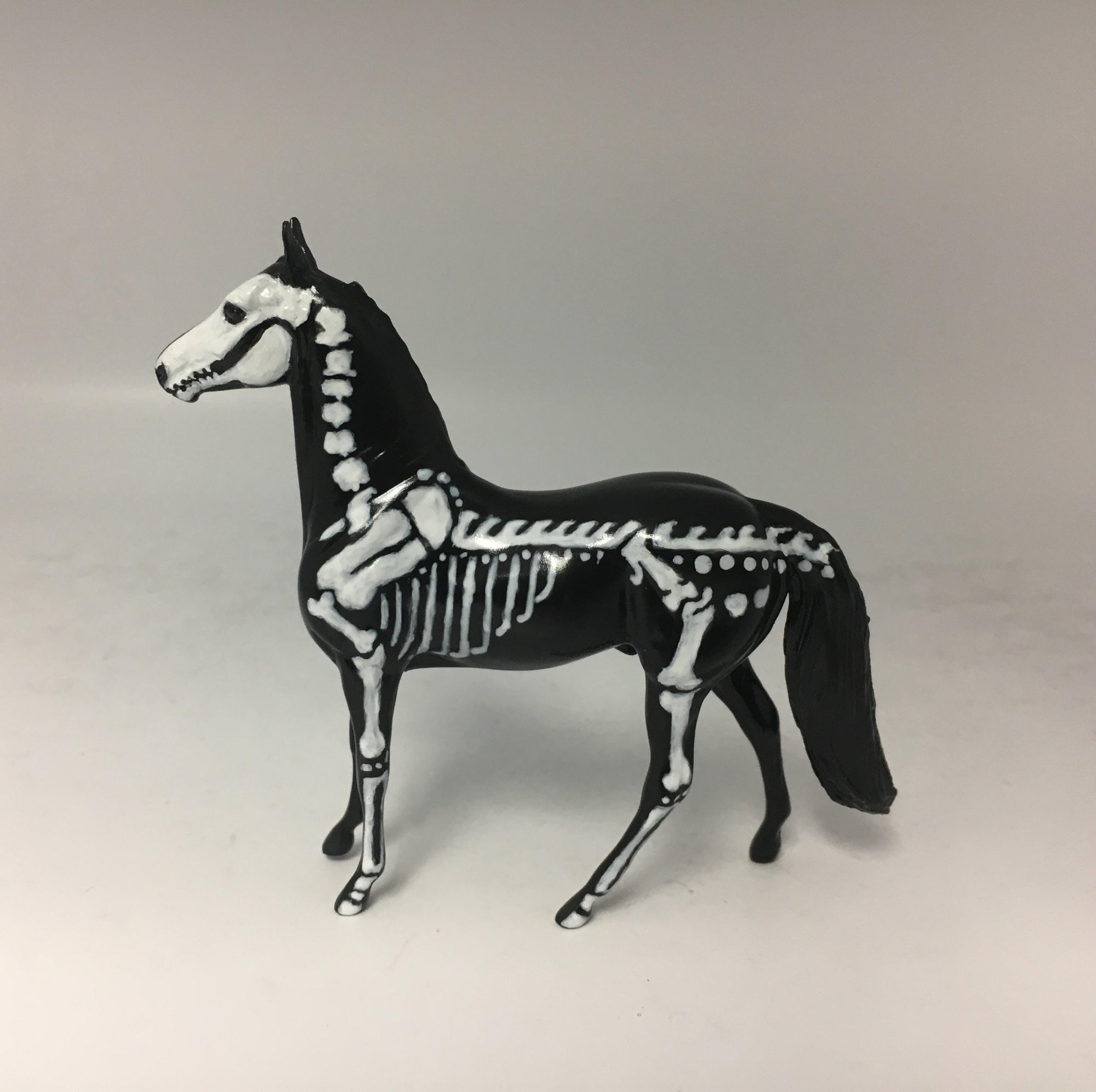 BONES~SKELETON MORGAN CHIP MODEL HORSE 9/15/17