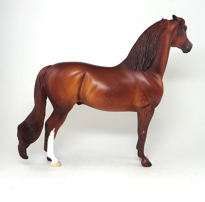 Morgan Horse 