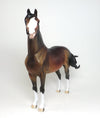 Morgan Horse