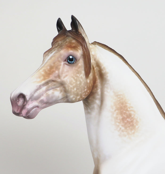 ANGELFIRE - OOAK CHESTNUT LACY APPALOOSA MORGAN MODEL HORSE by AL - 1/28
