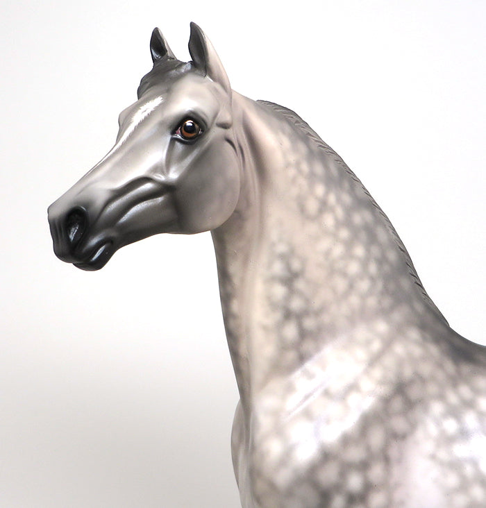 PS DUELER - OOAK DAPPLE GREY MORGAN MODEL HORSE by SHERYL LEISURE - 1/8