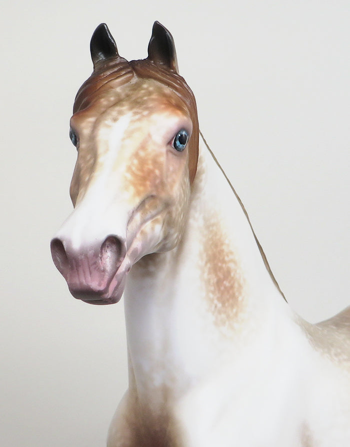 ANGELFIRE - OOAK CHESTNUT LACY APPALOOSA MORGAN MODEL HORSE by AL - 1/28