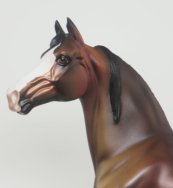 SPLENDID-LE-4 DAPPLE BAY MORGAN MODEL HORSE WITH SWISHED TAIL 2/24