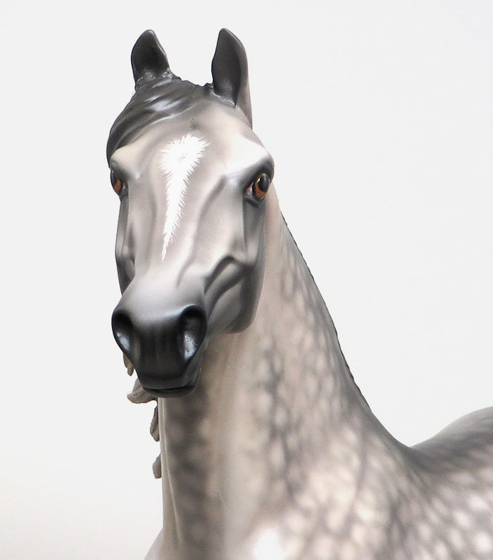 PS DUELER - OOAK DAPPLE GREY MORGAN MODEL HORSE by SHERYL LEISURE - 1/8