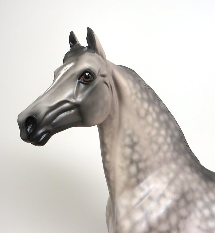 PS DUELER - OOAK DAPPLE GREY MORGAN MODEL HORSE by SHERYL LEISURE - 1/8