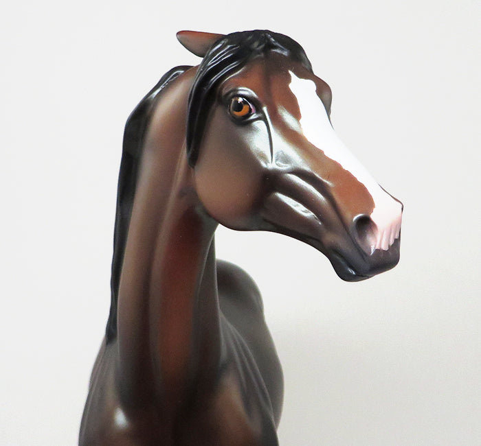 LIMITED EDITION MORGAN HORSE