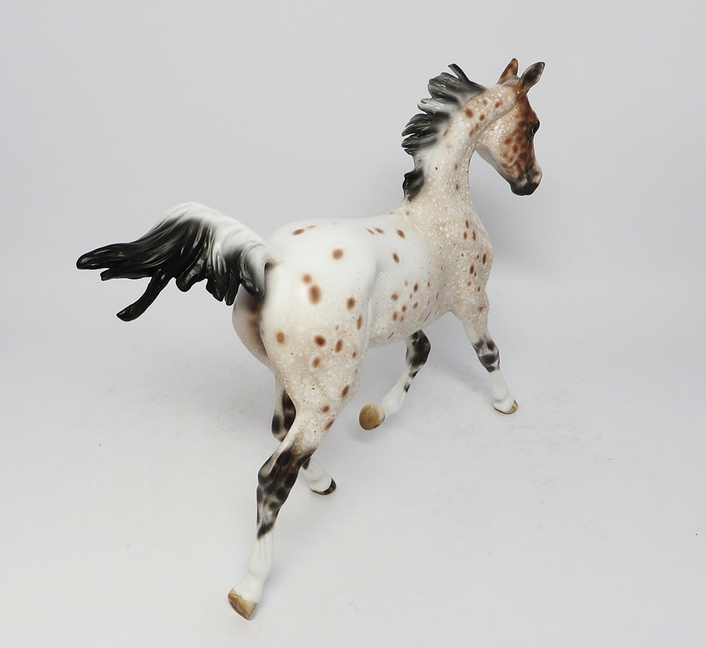 Appaloosa