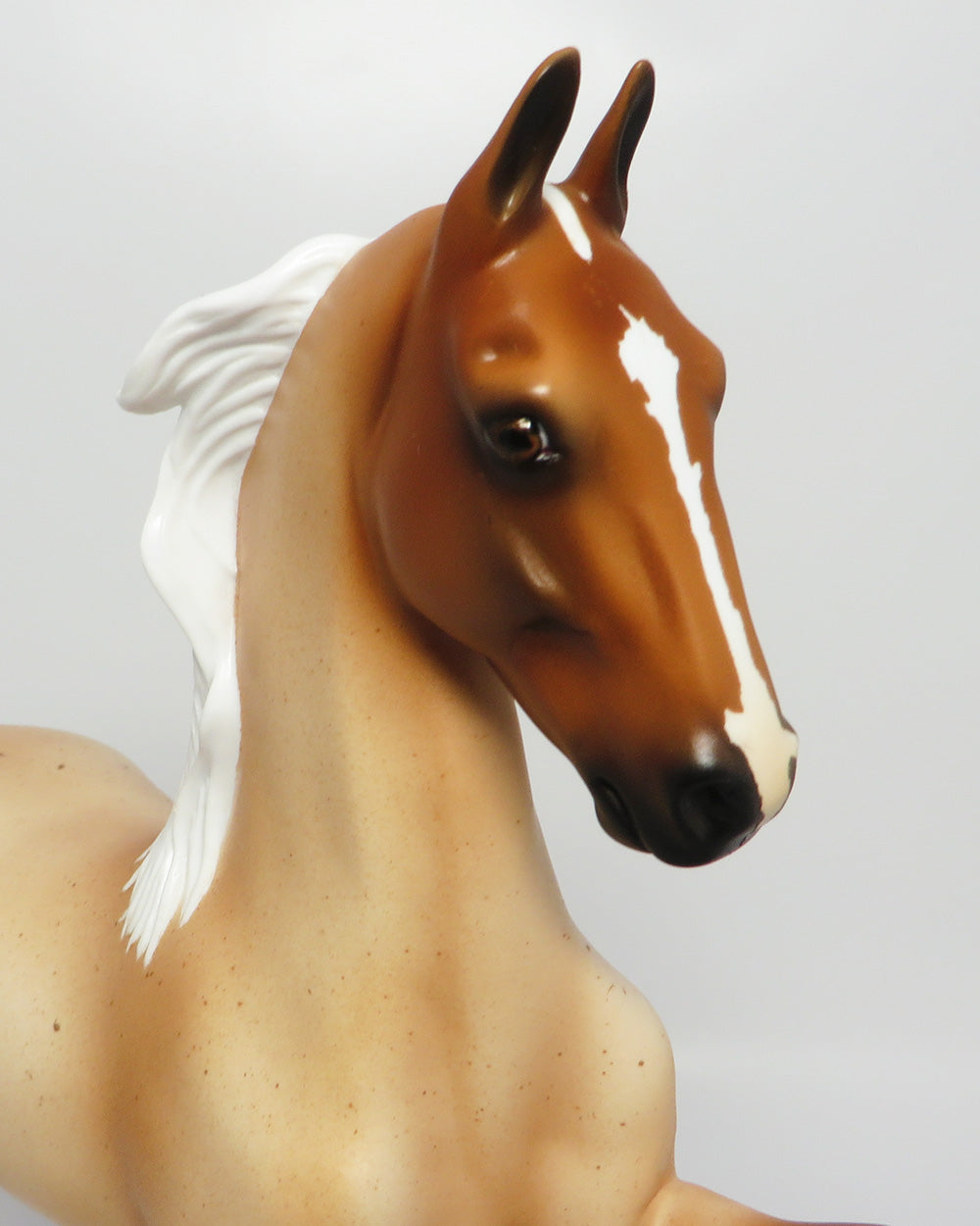 MT. RAINER~LE-5 CHESTNUT SADDLEBRED EQ 2017