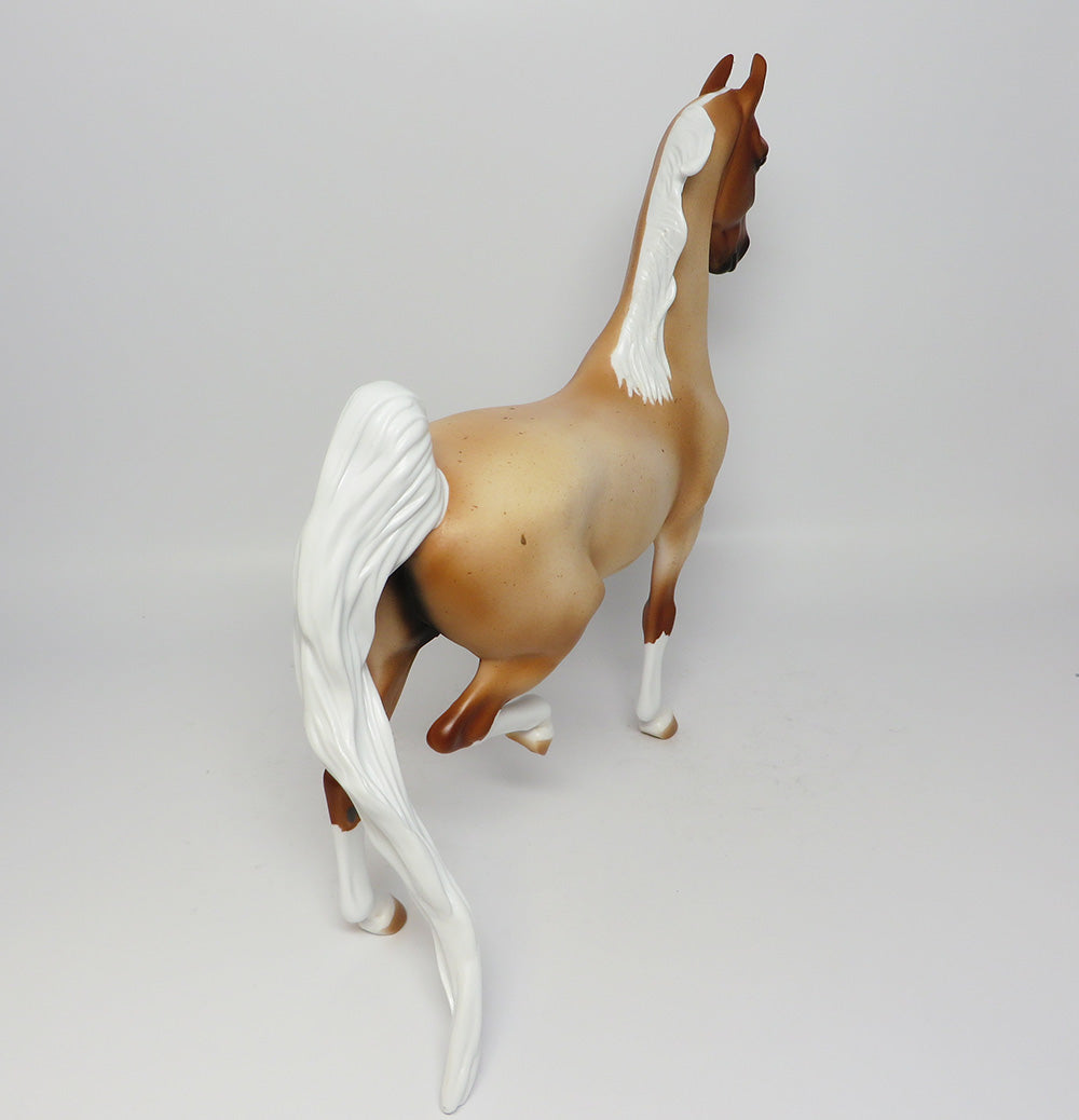 MT. RAINER~LE-5 CHESTNUT SADDLEBRED EQ 2017