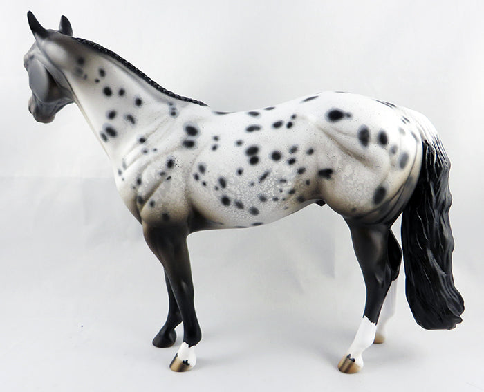 Appaloosa