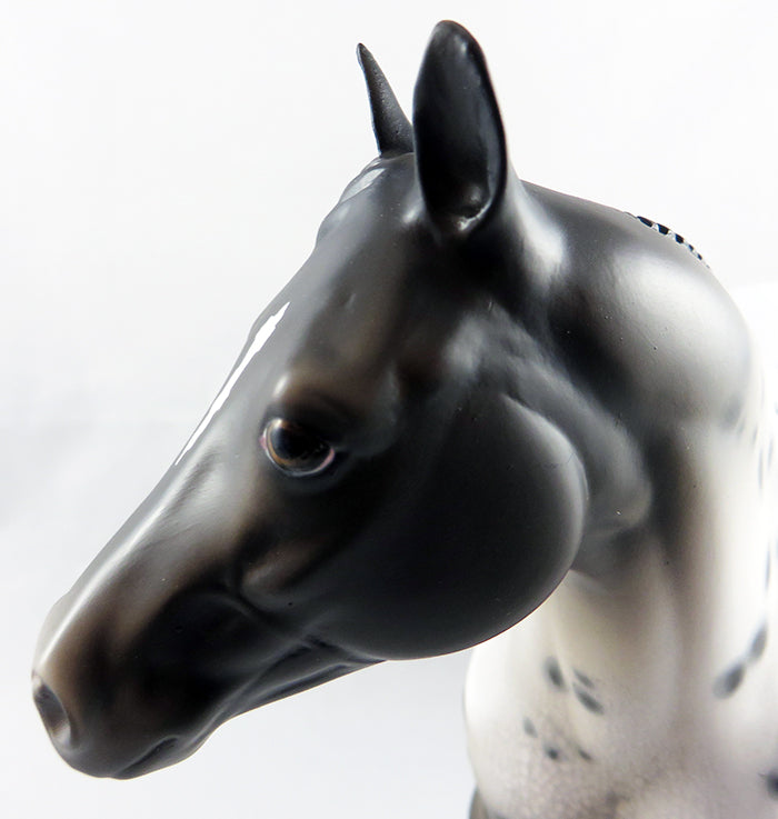 THE MEDICINE MAN-OOAK APPALOOSA WITH BROWN HEAD ISH MODEL HORSE 9/8