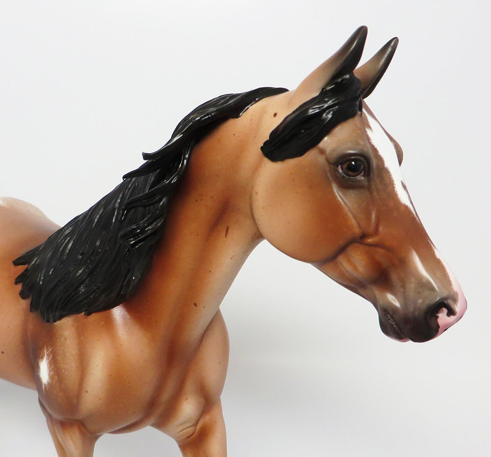 MUNSEE-OOAK BAY ETCHED APPALOOSA MODEL HORSE EQ 2017