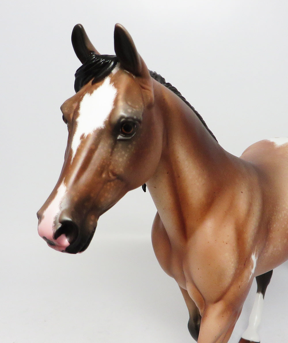 MUNSEE-OOAK BAY ETCHED APPALOOSA MODEL HORSE EQ 2017