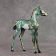 Mykonos OOAK FCM Arabian Foal by Julie Keim VV26