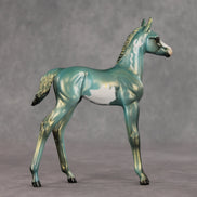 Mykonos OOAK FCM Arabian Foal by Julie Keim VV26
