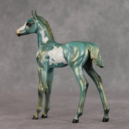 Mykonos OOAK FCM Arabian Foal by Julie Keim VV26