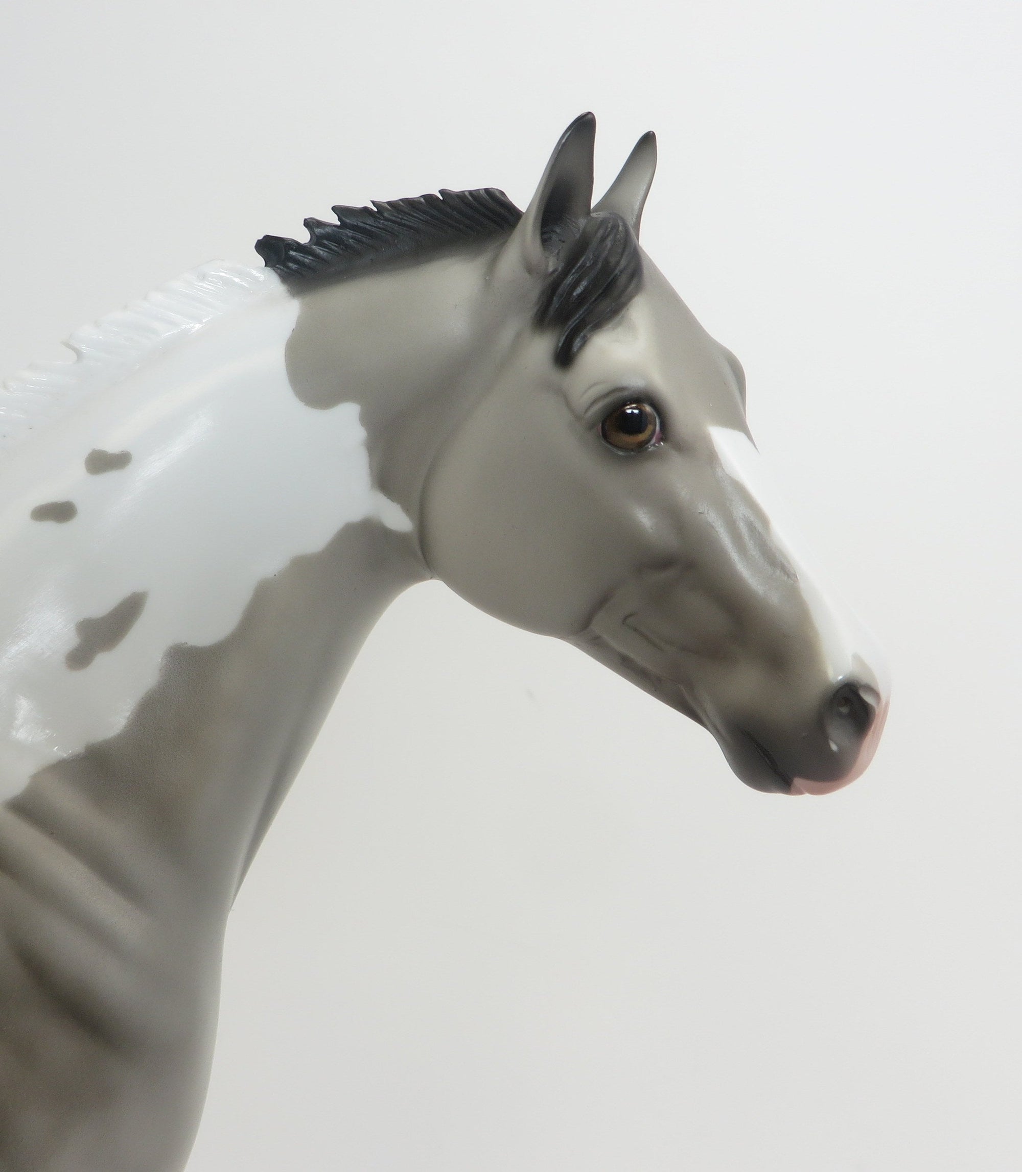 NADUAH (Plenty of Fish) - OOAK Grey Paint  ISH 9/2