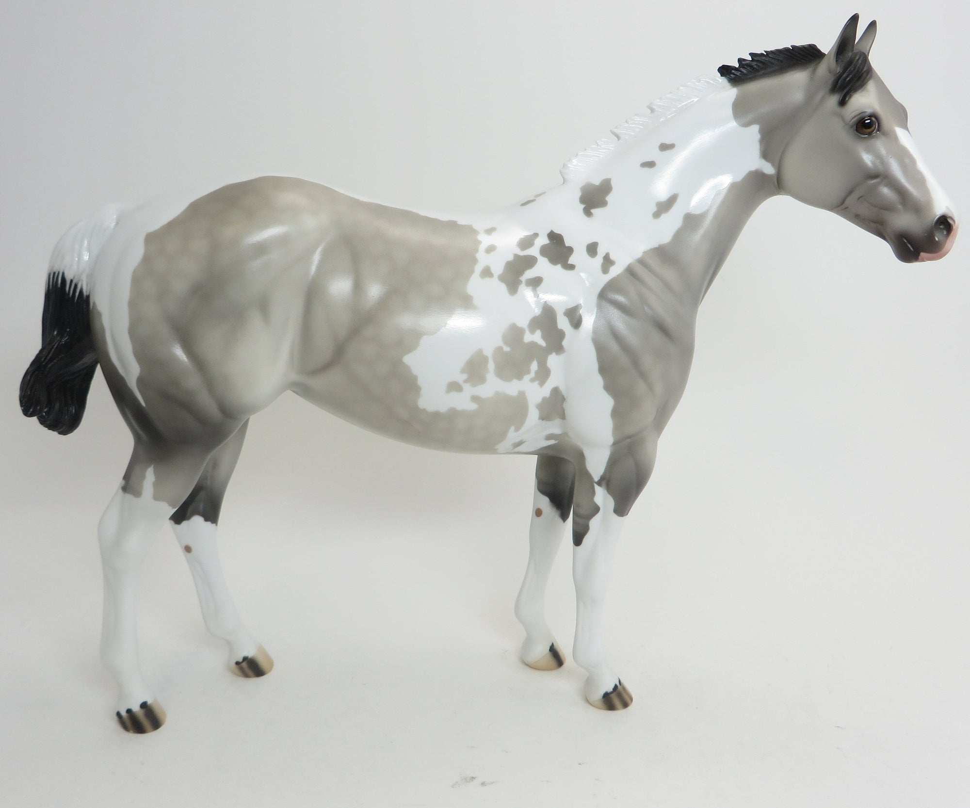 NADUAH (Plenty of Fish) - OOAK Grey Paint  ISH 9/2