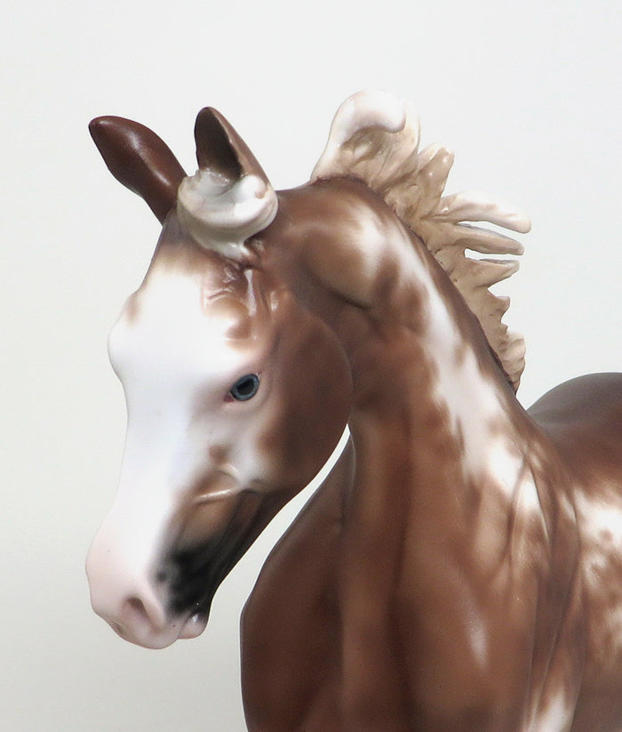 STRATUS - OOAK CHESTNUT SABINO YEARLING MODEL HORSE - 1/22