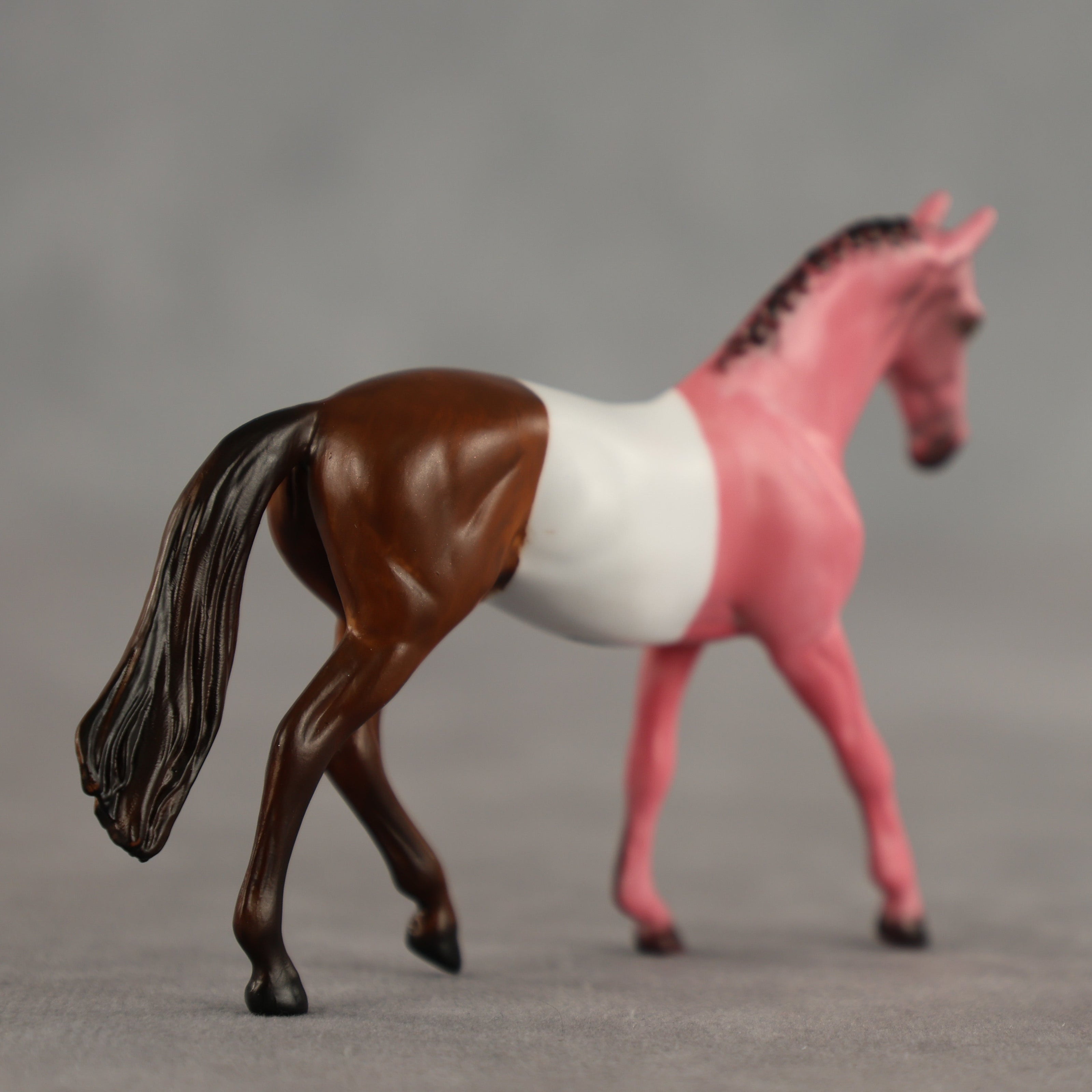 Neapolitan OOAK Chip Warmblood by Dawn Quick SCD26
