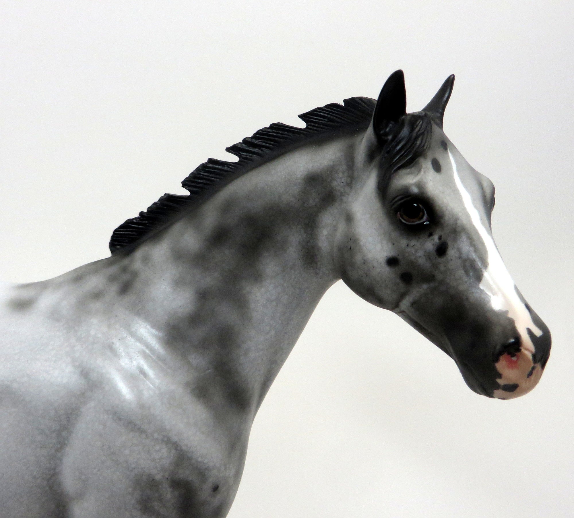 KOWHAI- Appaloosa ISH-OOAK- 9/23