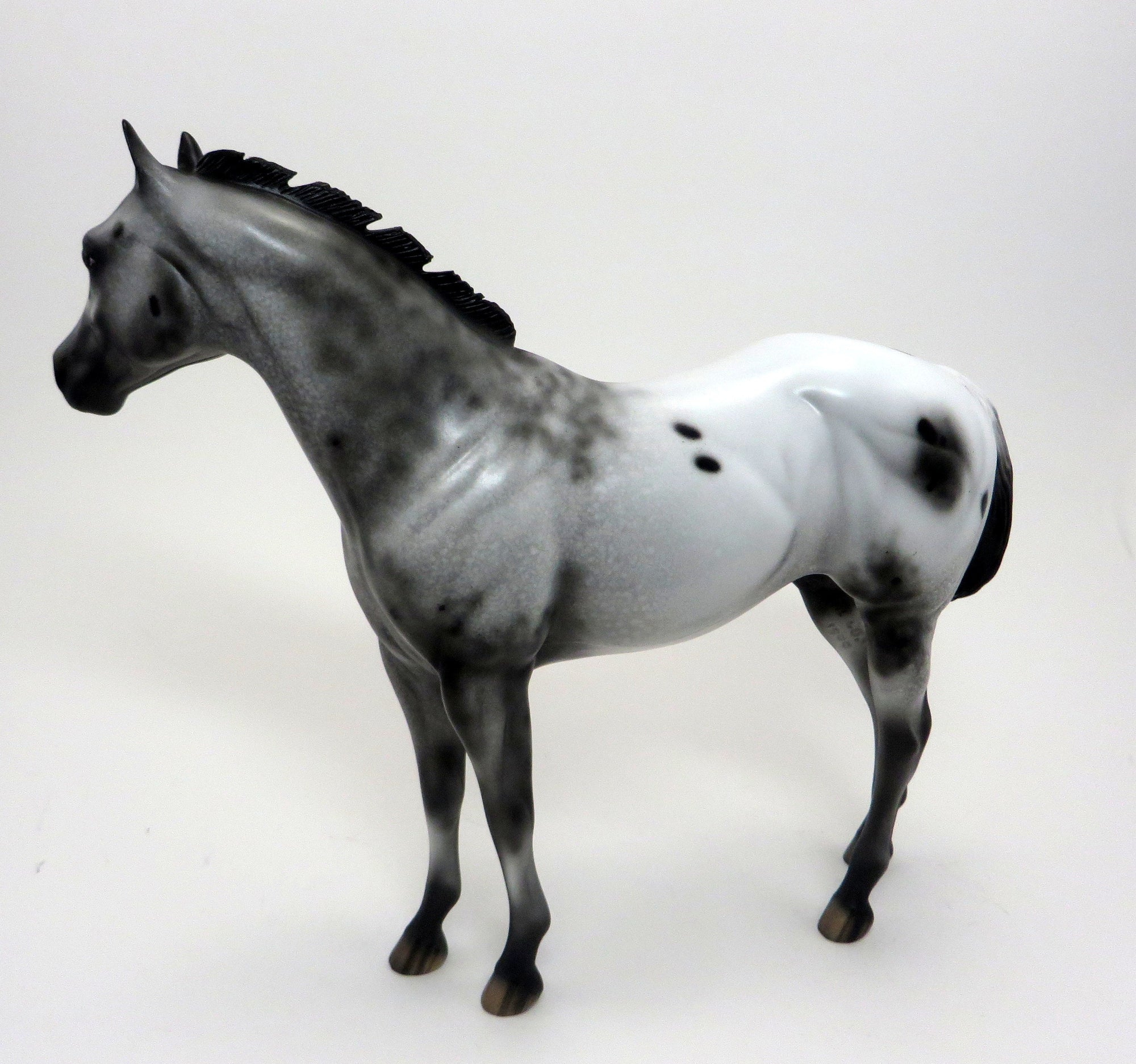 KOWHAI- Appaloosa ISH-OOAK- 9/23