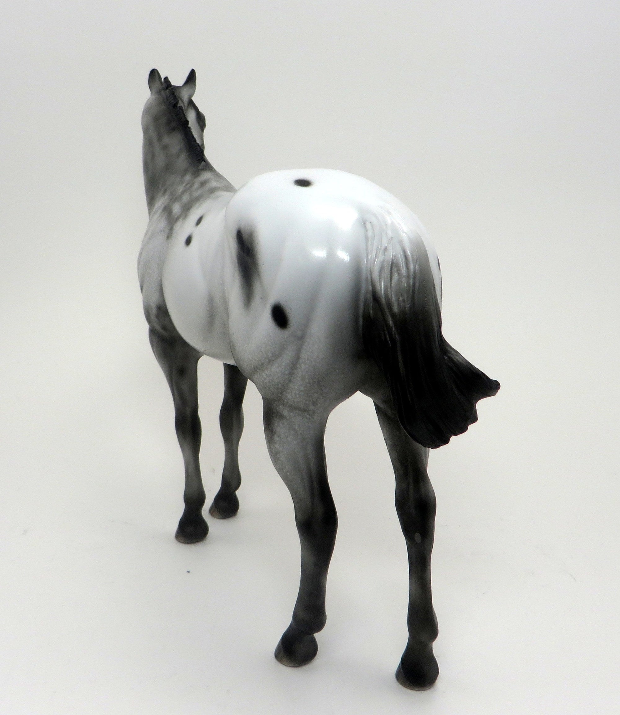 KOWHAI- Appaloosa ISH-OOAK- 9/23