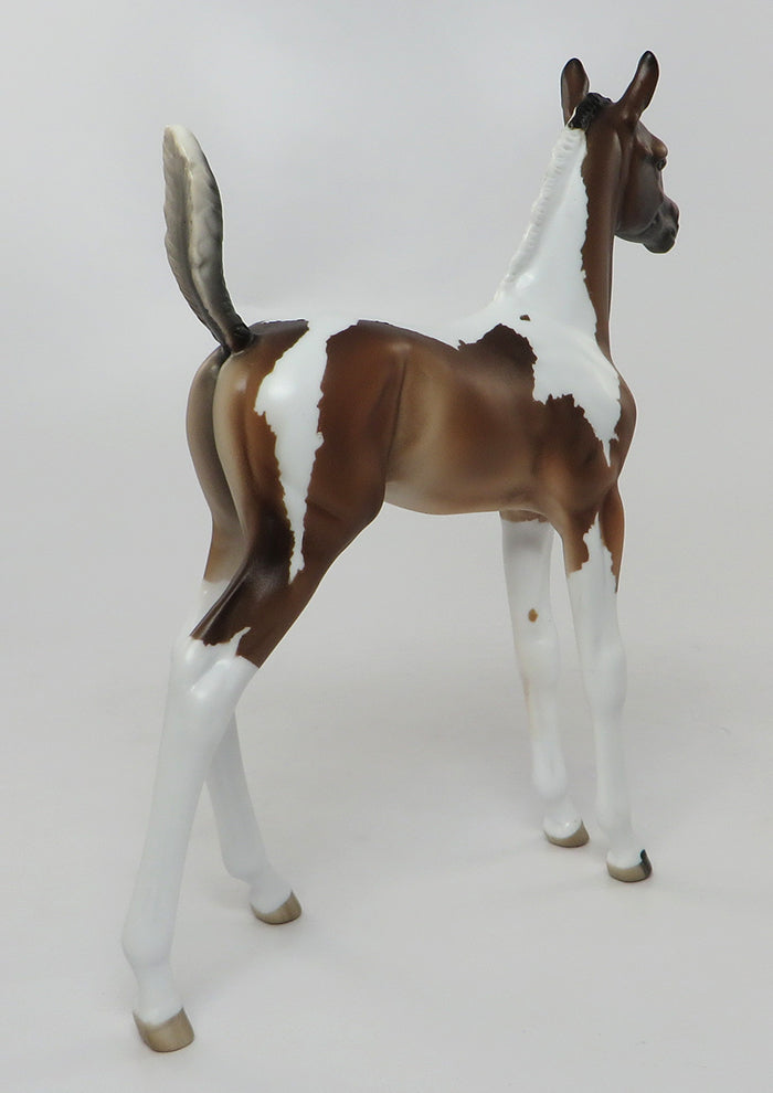 BELLEZA-LIMITED EDITION BAY TOBIANO FOAL MODEL HORSE BY SHERYL LEISURE 7/20 *PRE-ORDER
