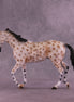 News Flash OOAK Thoroughbred by Anna Rieck HS25