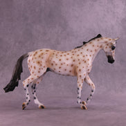 News Flash OOAK Thoroughbred by Anna Rieck HS25