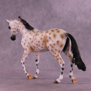 News Flash OOAK Thoroughbred by Anna Rieck HS25