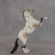 Nicola OOAK FCM Pebble Mustang by Dawn Quick VV26