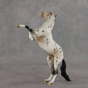Nicola OOAK FCM Pebble Mustang by Dawn Quick VV26