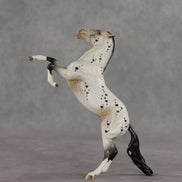Nicola OOAK FCM Pebble Mustang by Dawn Quick VV26