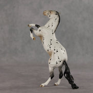 Nicola OOAK FCM Pebble Mustang by Dawn Quick VV26