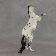 Nicola OOAK FCM Pebble Mustang by Dawn Quick VV26
