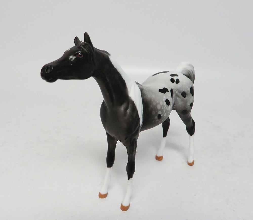 Appaloosa