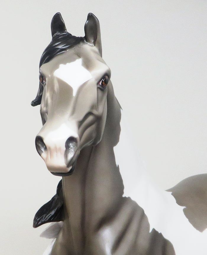 NOT TO FAST-LE-4 DAPPLE GREY PAINT MORGAN MODEL HORSE 4/21
