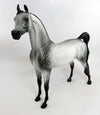 dapple grey