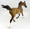 Filly