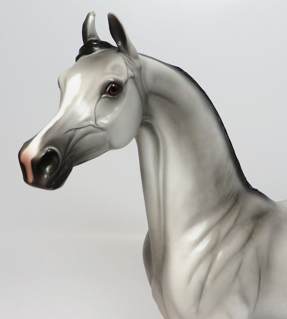OAHE-LE-5 DAPPLE GREY ARABIAN MODEL HORSE EQ 2017