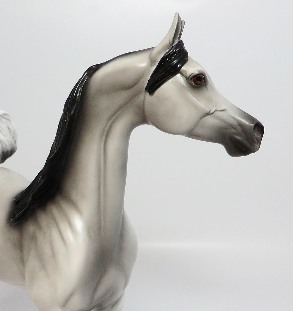 OAHE-LE-5 DAPPLE GREY ARABIAN MODEL HORSE EQ 2017