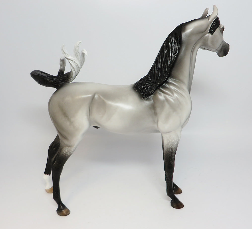 OAHE-LE-5 DAPPLE GREY ARABIAN MODEL HORSE EQ 2017