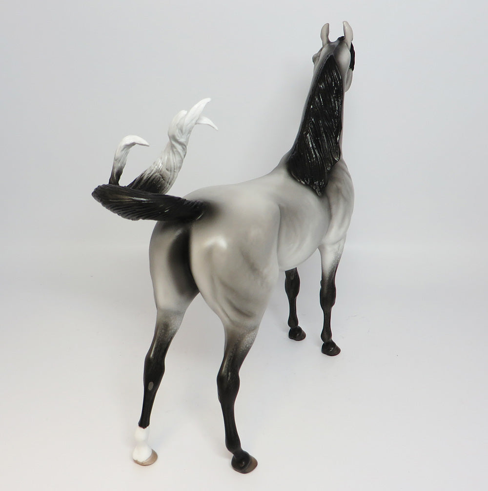 OAHE-LE-5 DAPPLE GREY ARABIAN MODEL HORSE EQ 2017